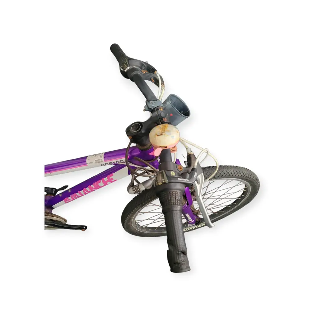 Avalanche 24 Inch Cosmic Bike - View 2