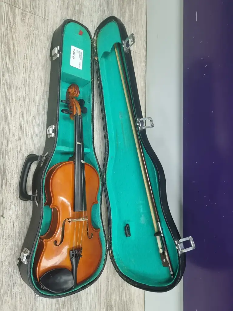 Palatino Axl-30 4 String Violin - View 2