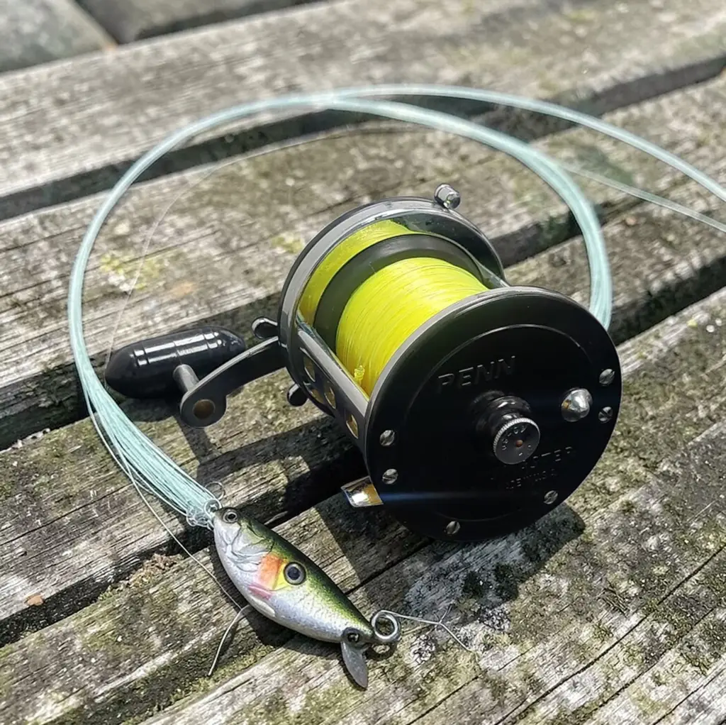 Penn Jigmaster 500 23-80 Fishing Reel
