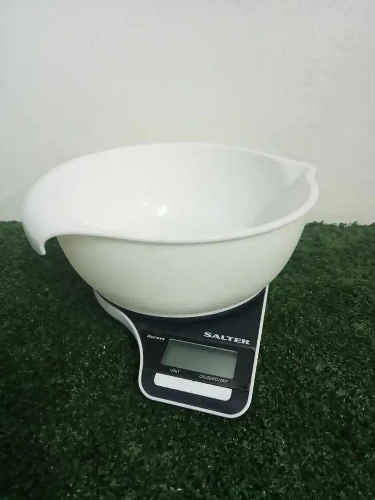 Salter Scale