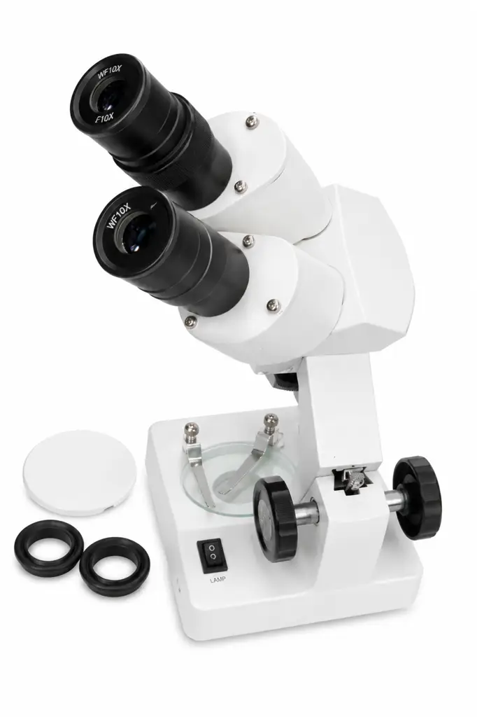 Science Microscope Binocular Compound Microscope Wf10x - View 2