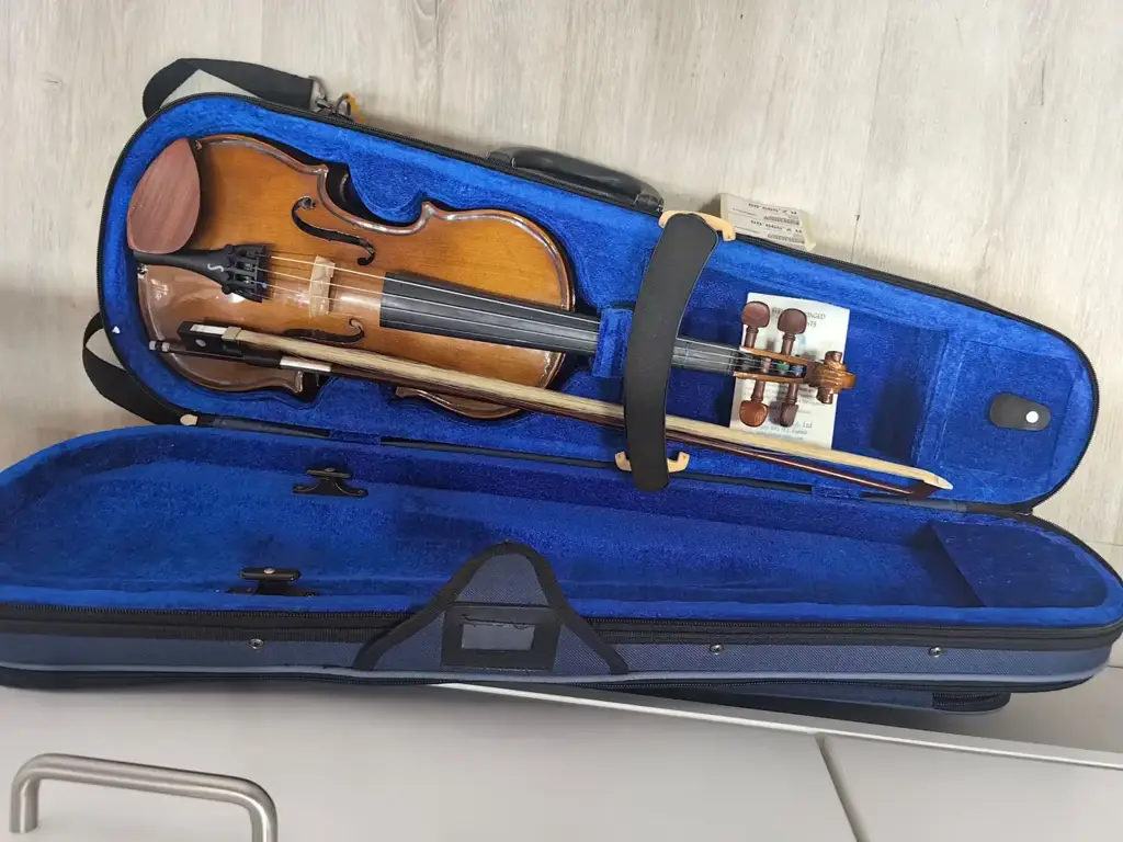 Stentor Rh2 Viola