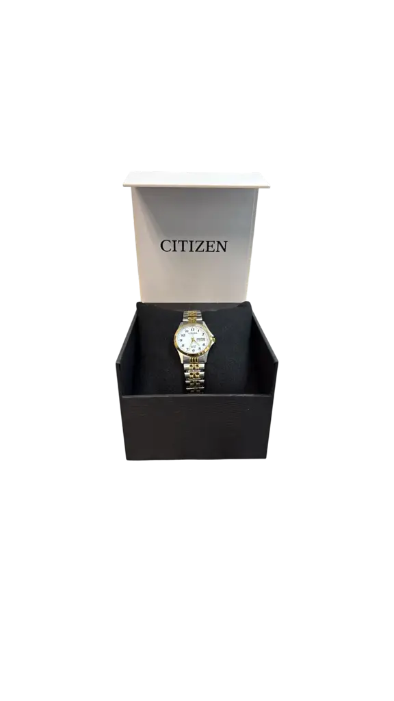 Citizen Gn-4-S Woman's Two-Tone Analogue Watch - View 2