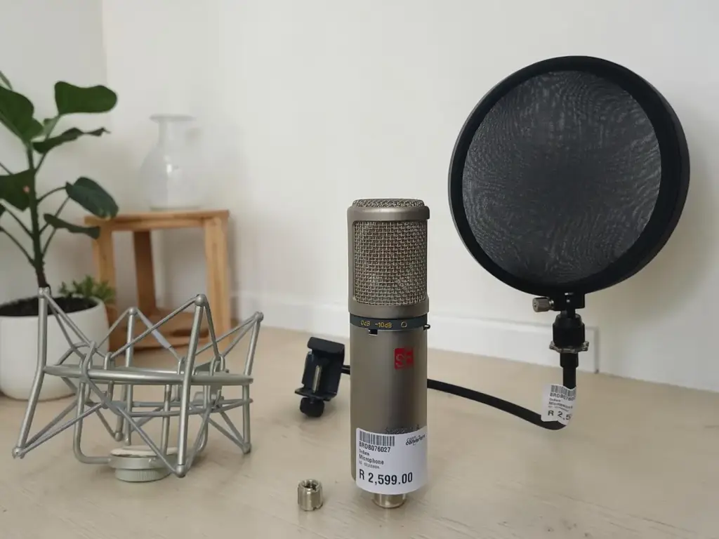 Se Electronics Se2200a Condenser Microphone
