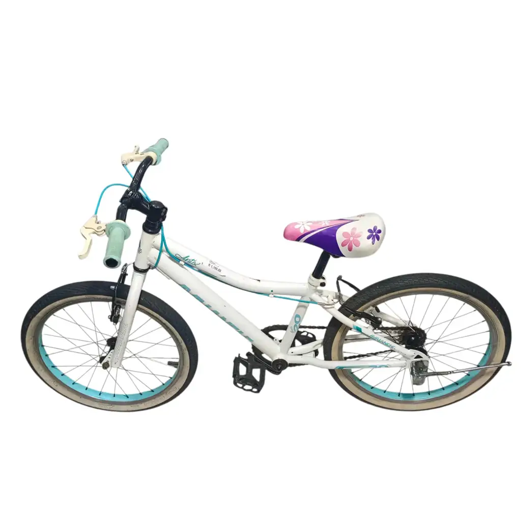 Avalanche Antix 20-Inch Girls Bike