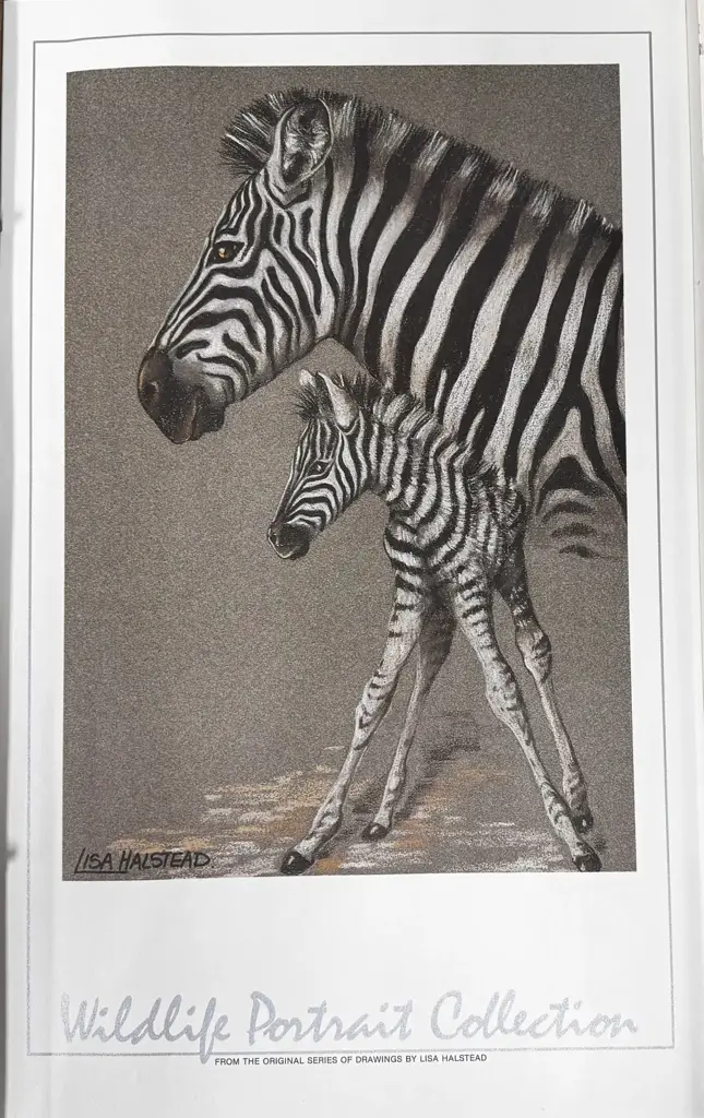 Lisa Halstead Wildlife Portrait Collection Unframed Prints Set Of 10 - View 3