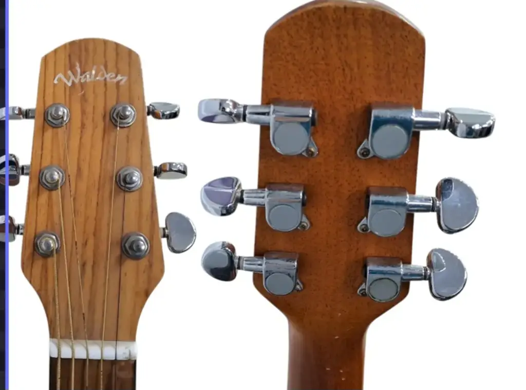Walden G570 Acoustic Guitar - View 4