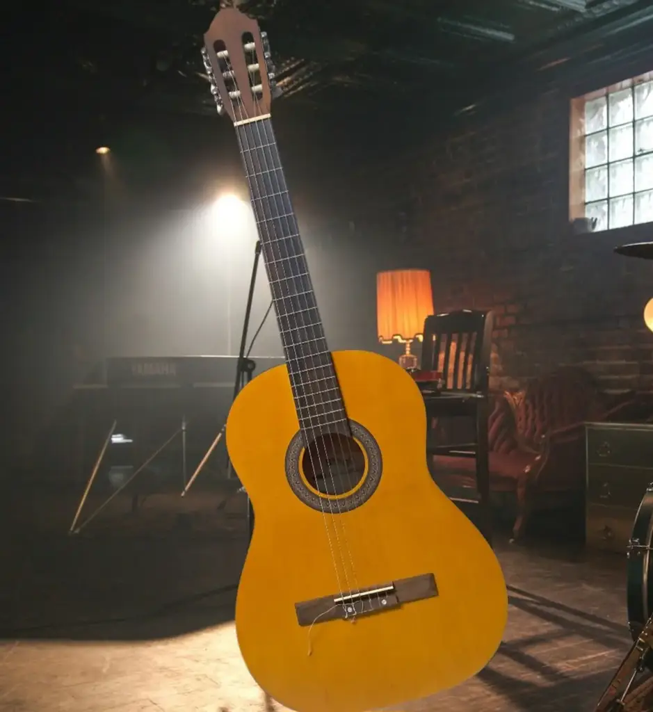 Stagg Acoustic Guitar
