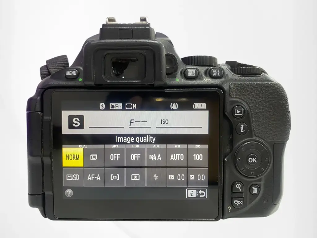 Nikon D5600 Camera With Two Lenses. - View 4