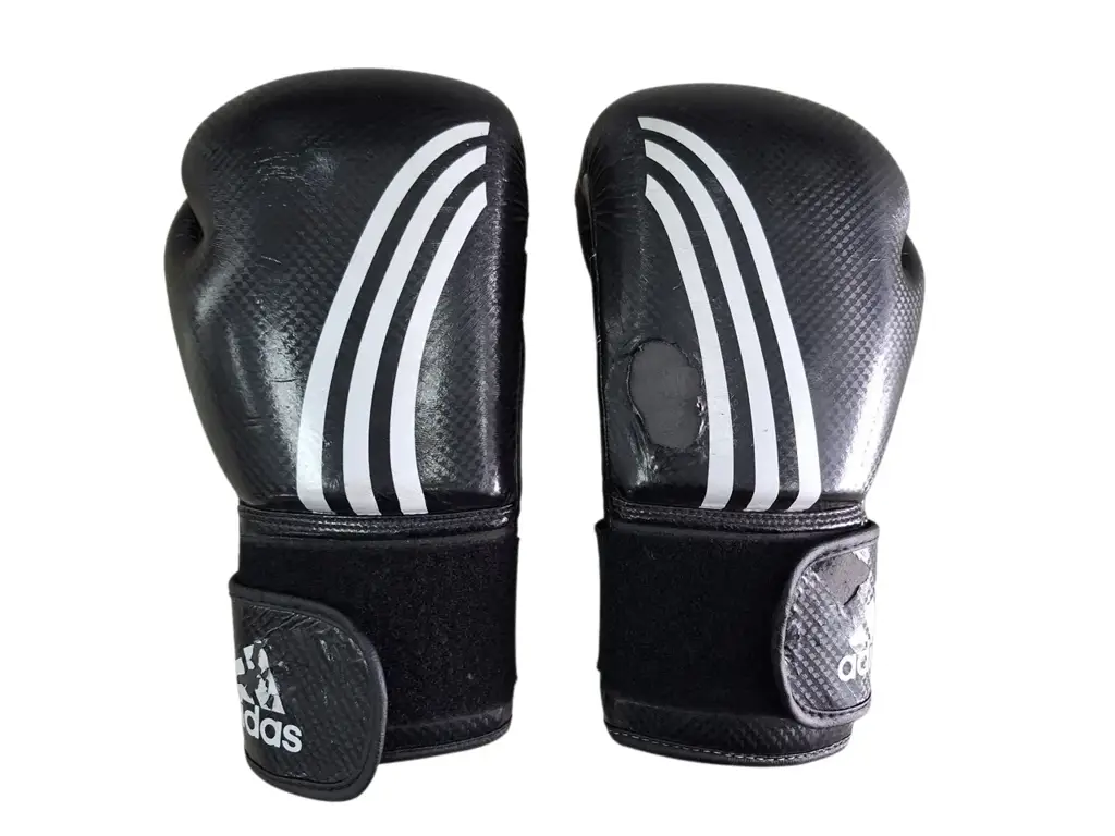 Adidas Shadow Boxing Gloves