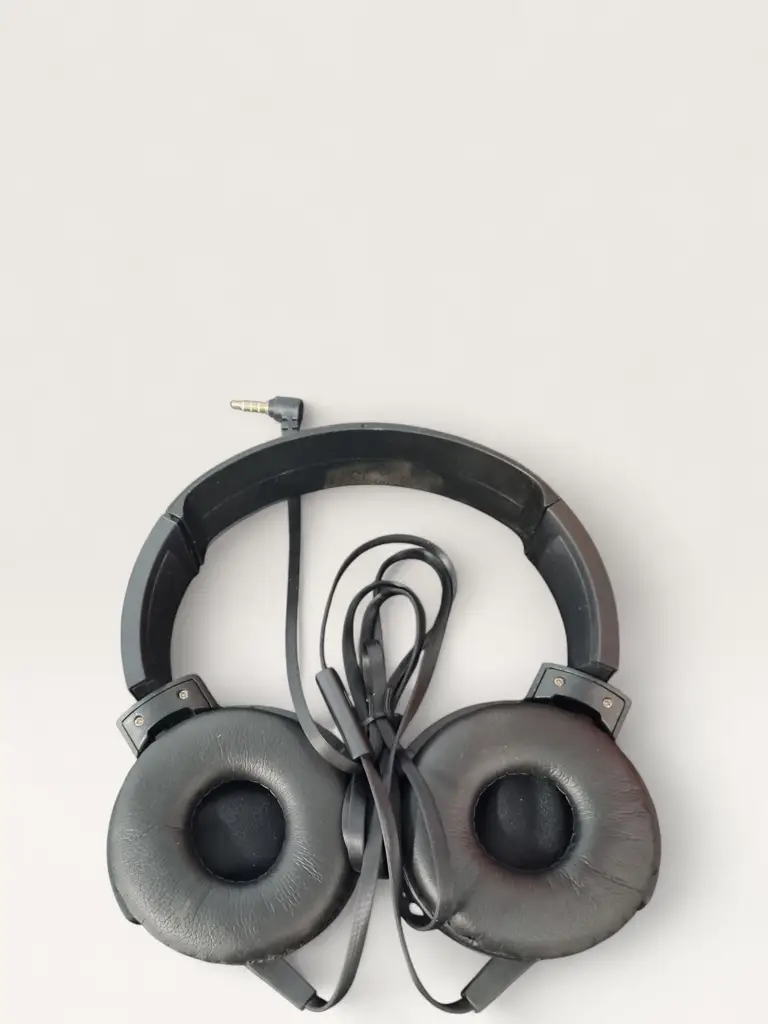 Swiss Cougar Copenhagen Wired Headphones (Tech‑4383) - View 2