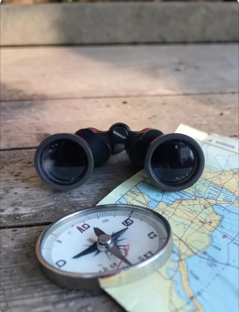 Tasco 10X50mm Binoculars