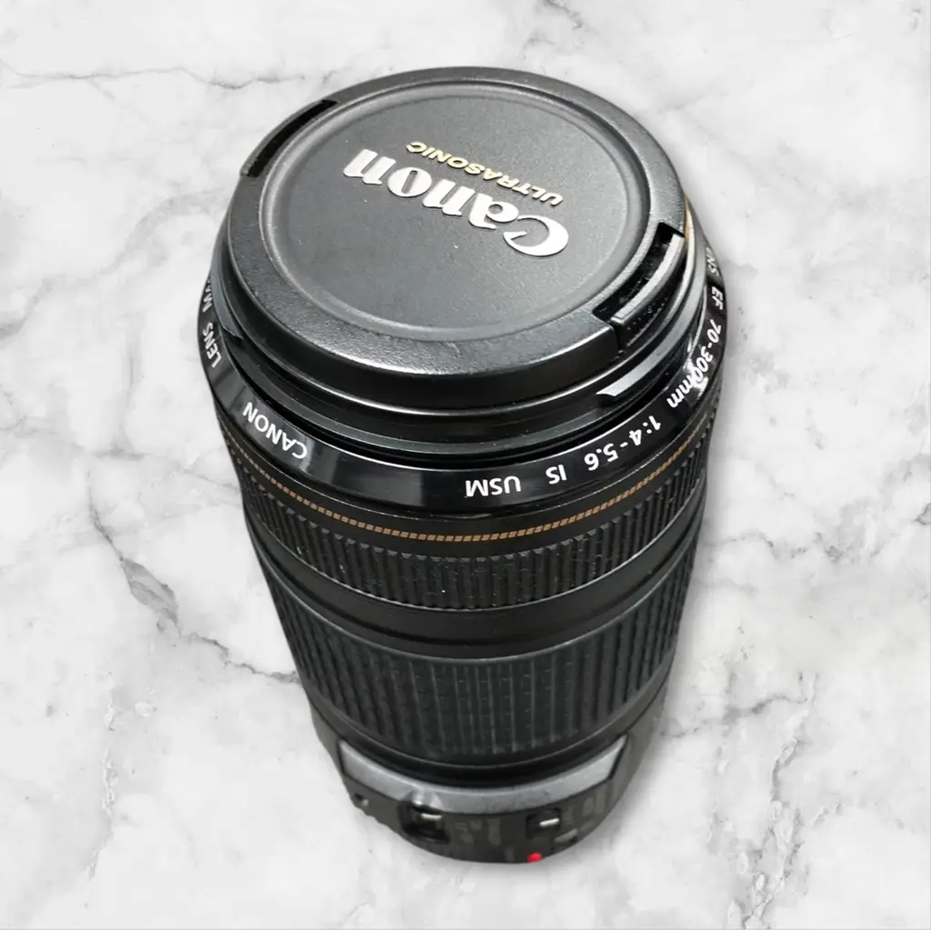 Canon 70-300Mm Utrasonic Macro 1.5M/4.9Ft