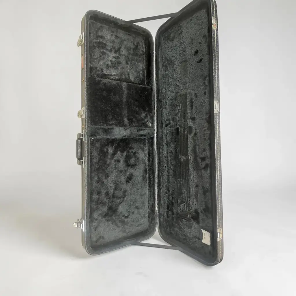 Fender Guitar Case
