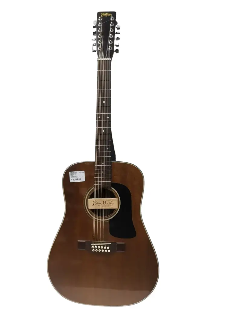 Washburn 2In1 12 String Acoustic Guitar