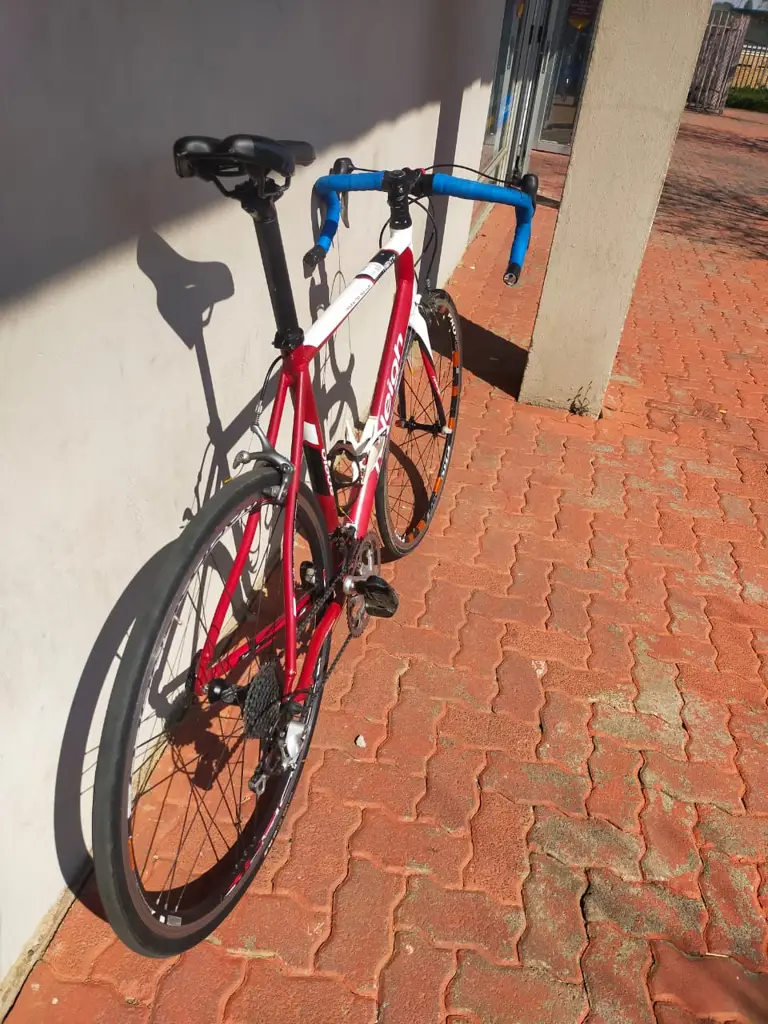Raleigh Twenty Bicycle - View 2