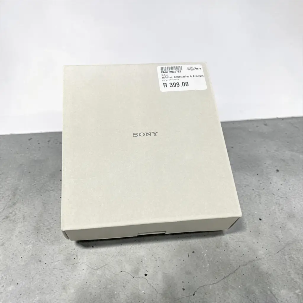 Sony Wh-Ch520 Headphones - View 4