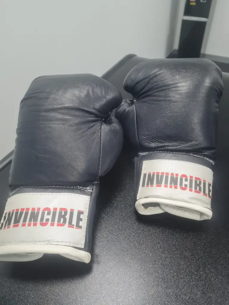 Invincible Boxing Gloves - View 3