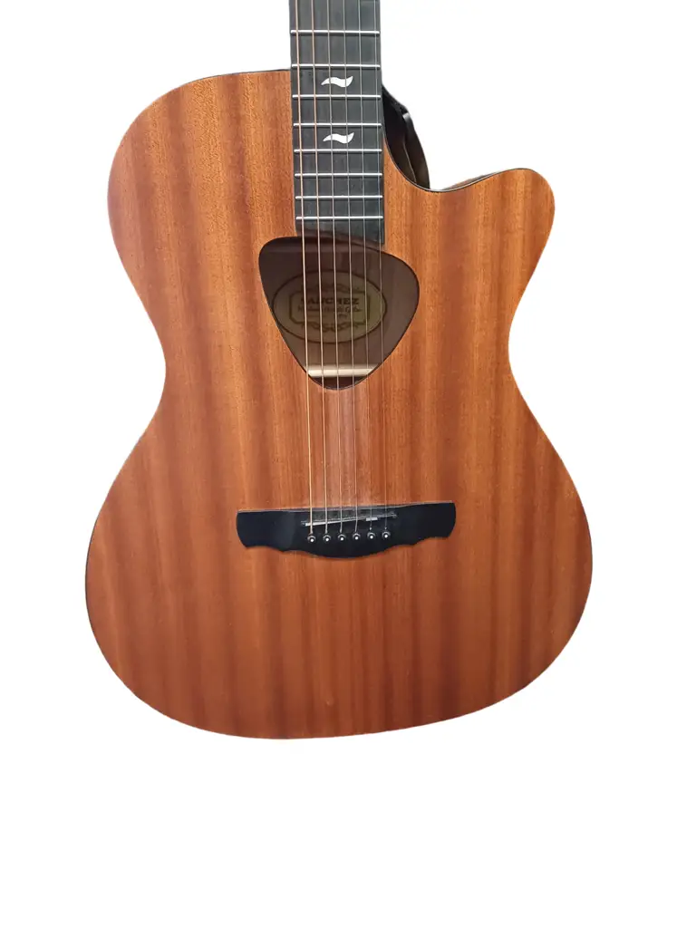 Sanchez Guitar Ts-32Eq - View 2
