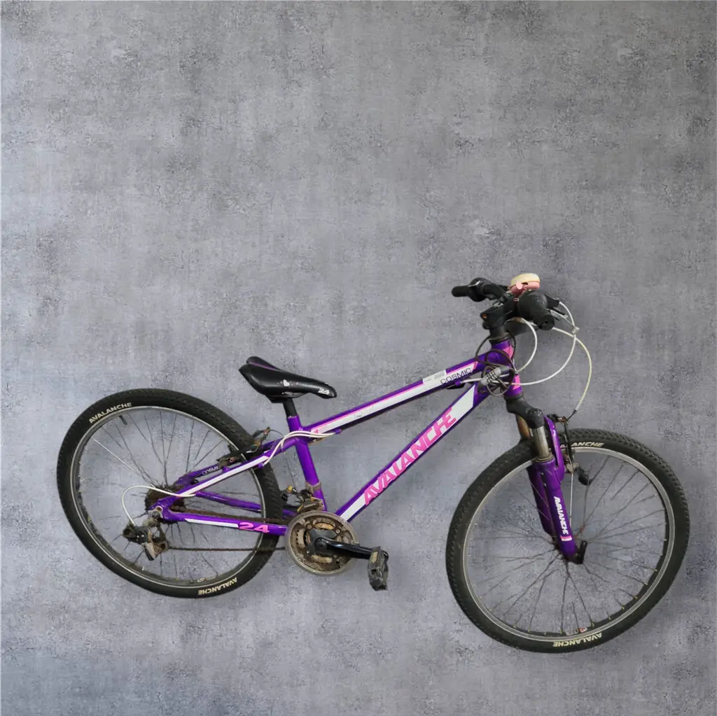 Avalanche 24 Inch Cosmic Bike