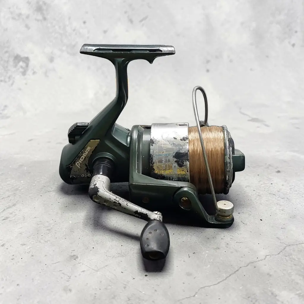 Pioneer Black Berry We-6000 Spinning Reel - View 2