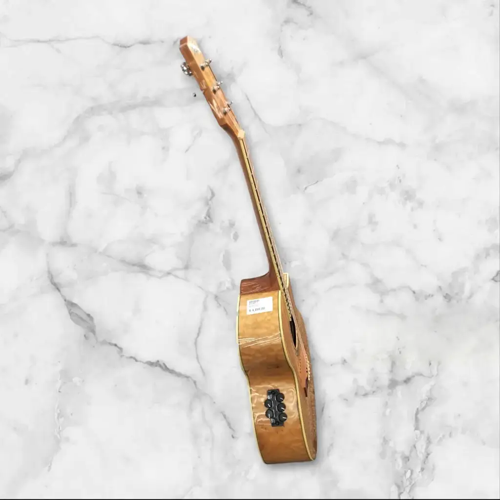 Ibanez Ew20mbent 1201 - View 2