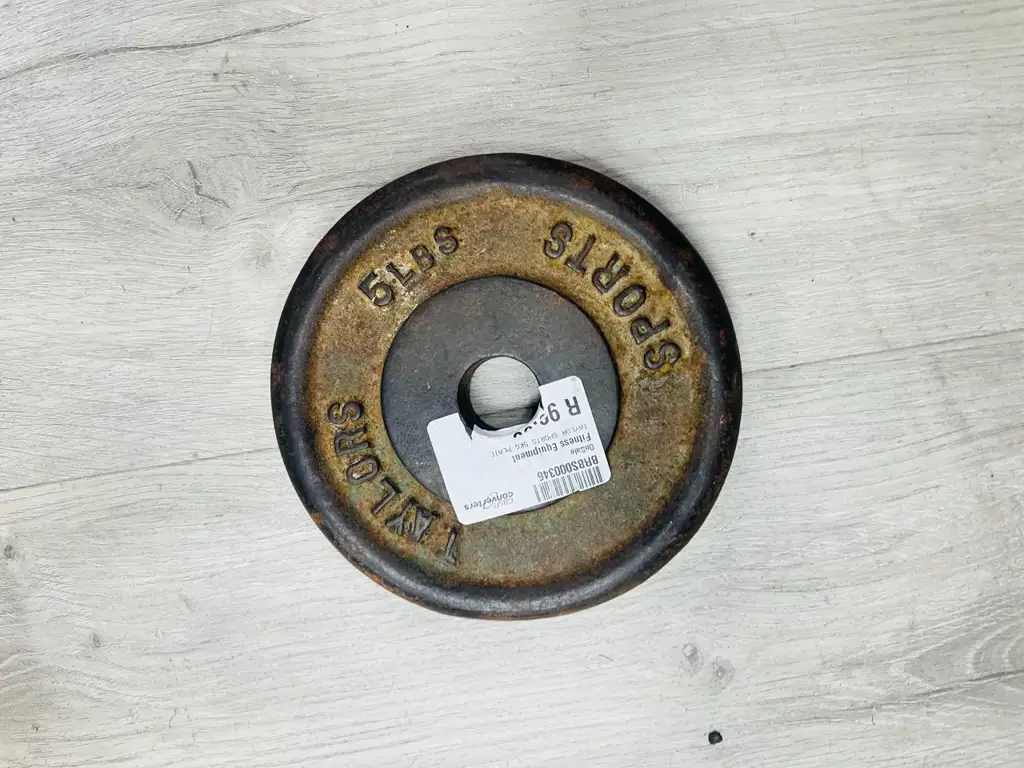 5Kg Taylor