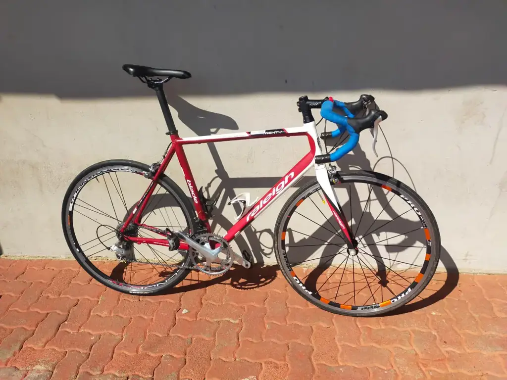 Raleigh Twenty Bicycle