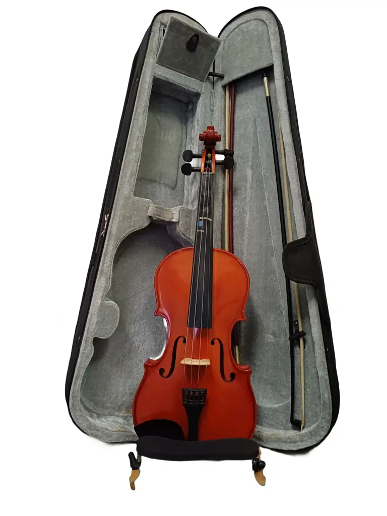 Flame Lilly Hd-V11 Violine