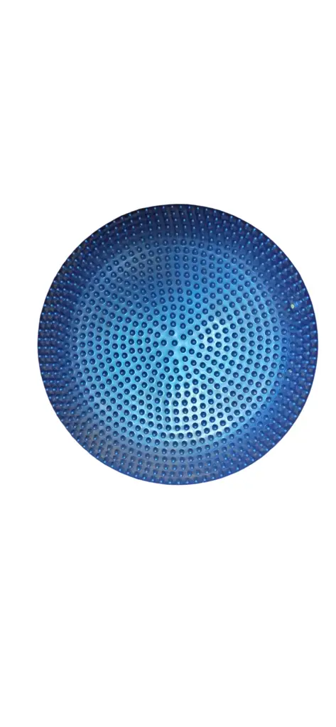 Sissel Balance Air Disk Ch-8904