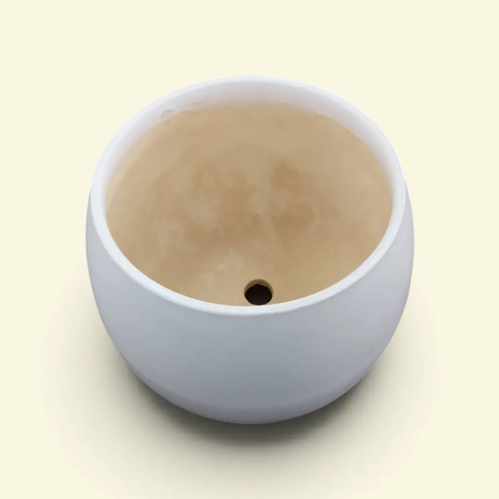 Ceramic Medium Vase
