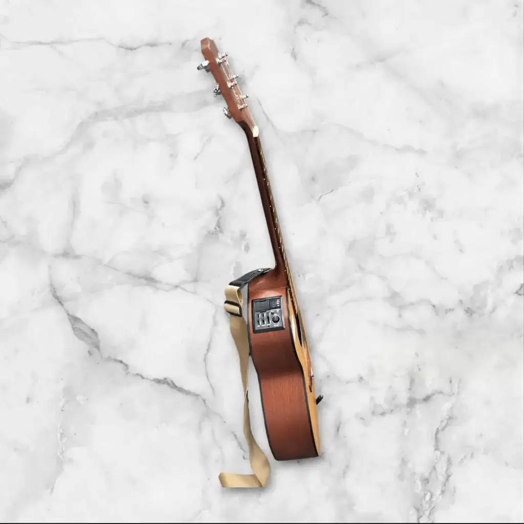 Takamine Eg220c-Ns - View 2