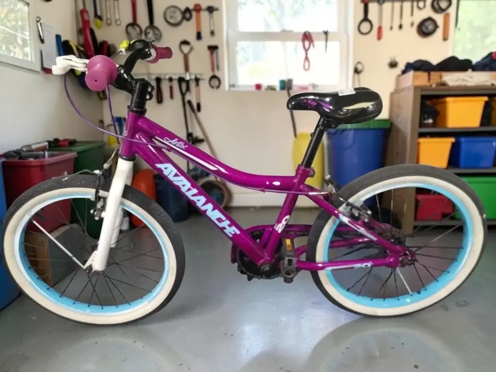 Avalanche 20" Inch Kids Bike