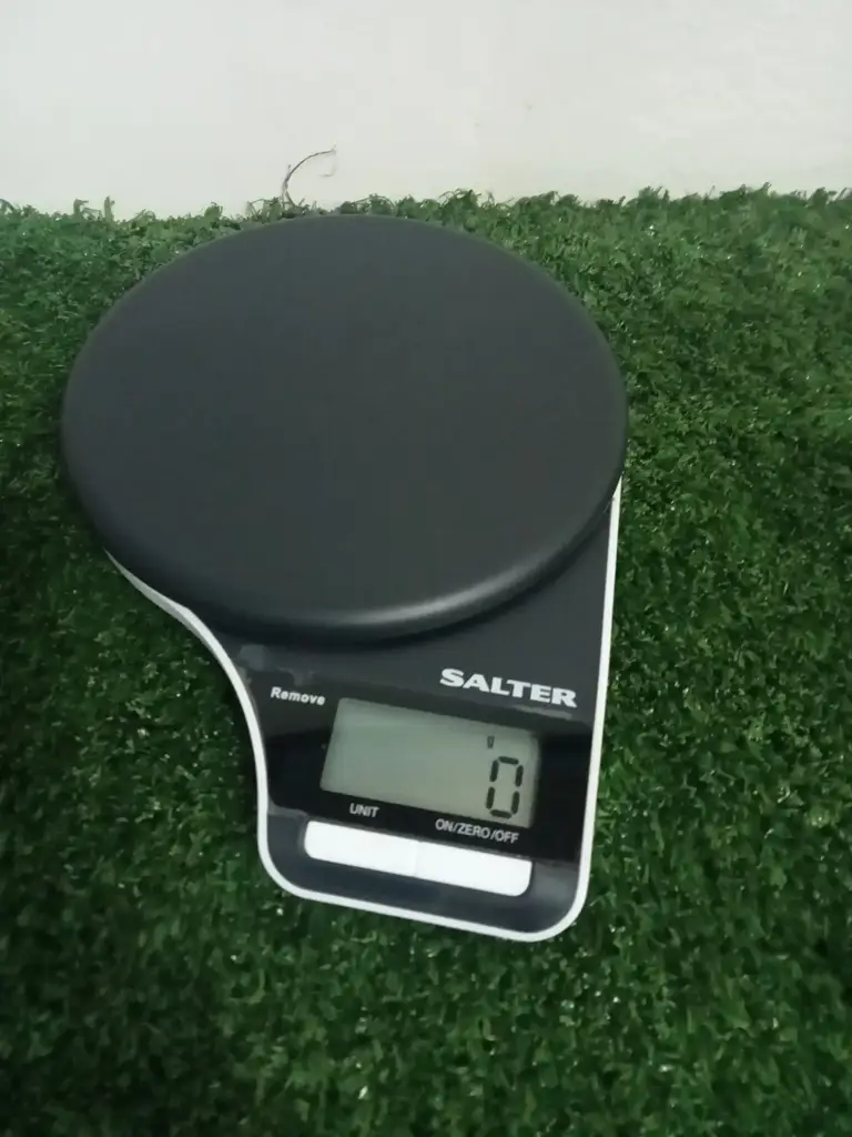 Salter Scale - View 2