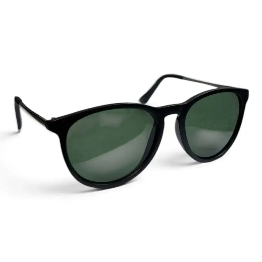 Ray-Ban Rb4171 Erika Sunglasses
