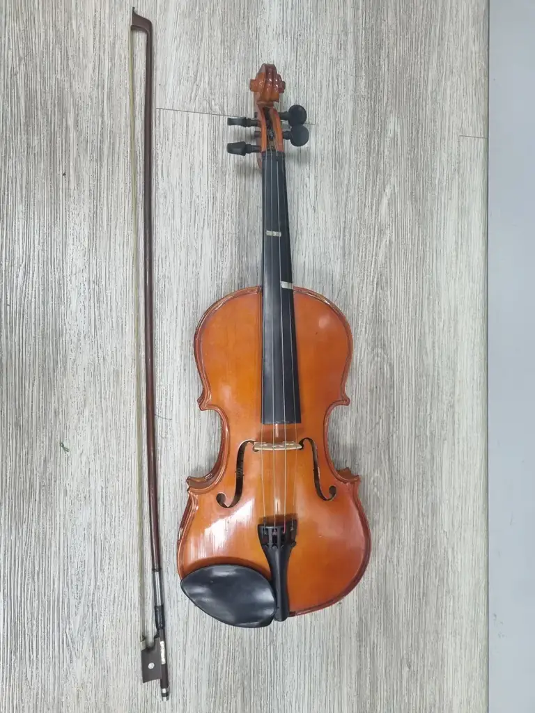 Palatino Axl-30 4 String Violin