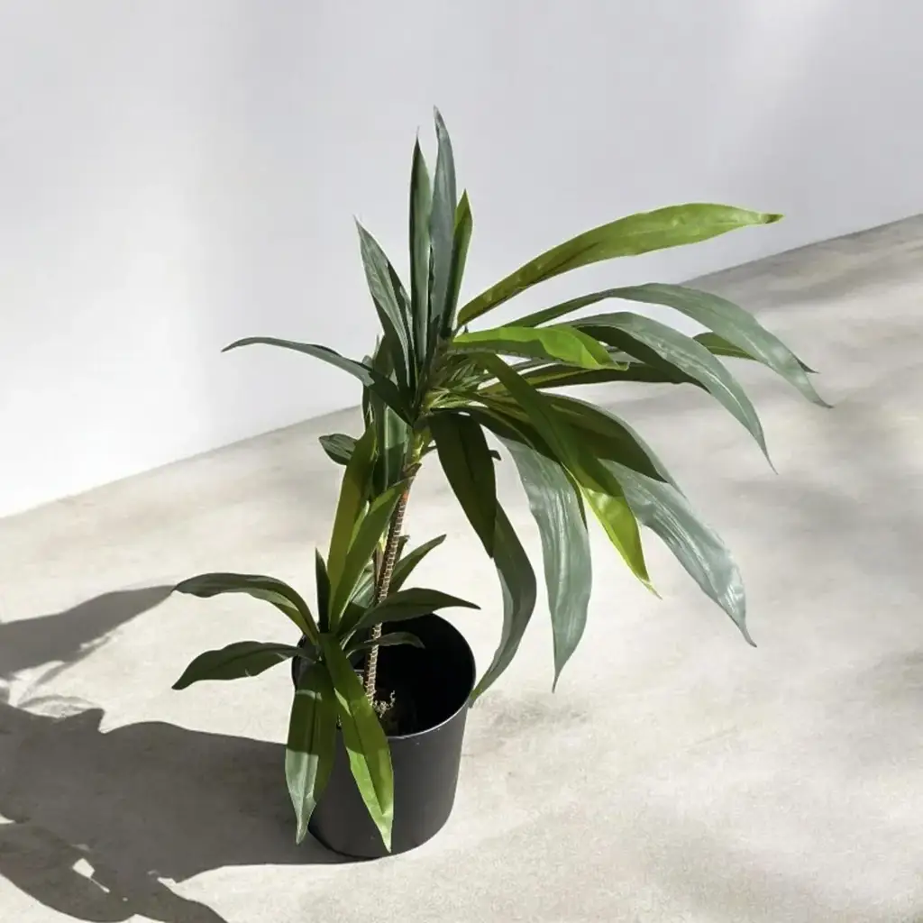 Artificial Yucca Plant In Black Pot - View 2