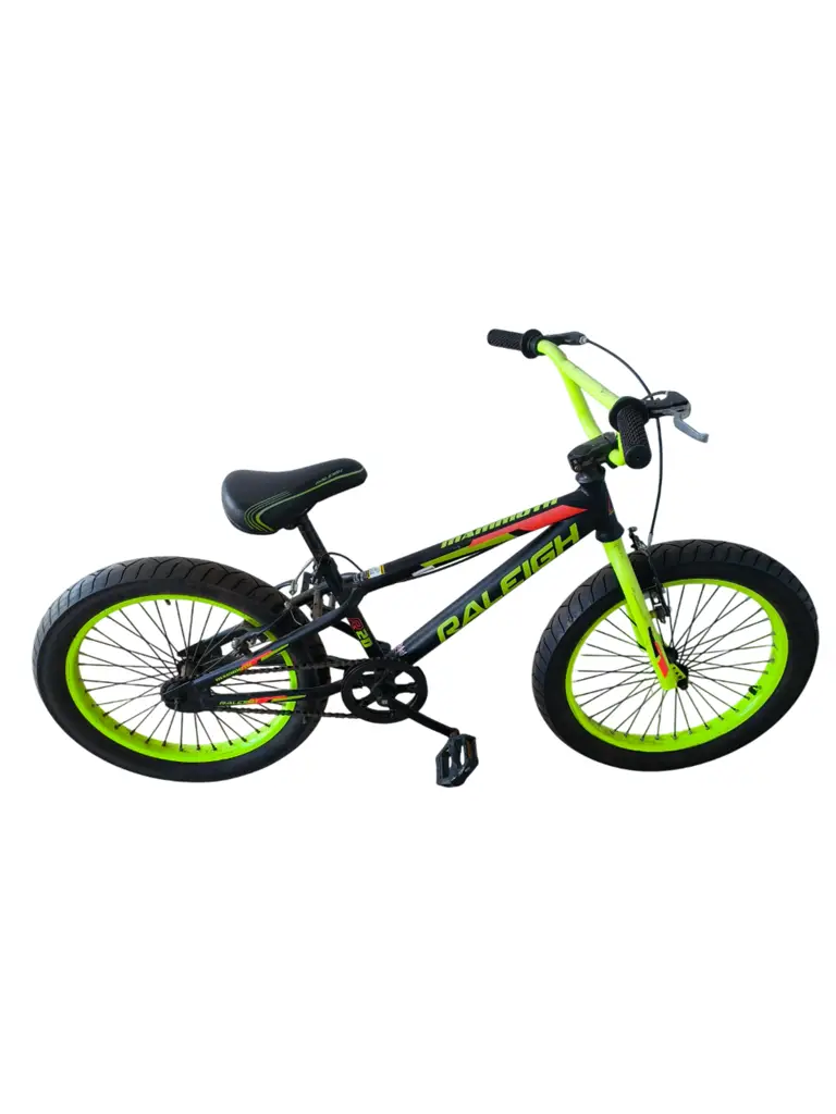 Raleigh Bicycle | Mammoth | Store Collection