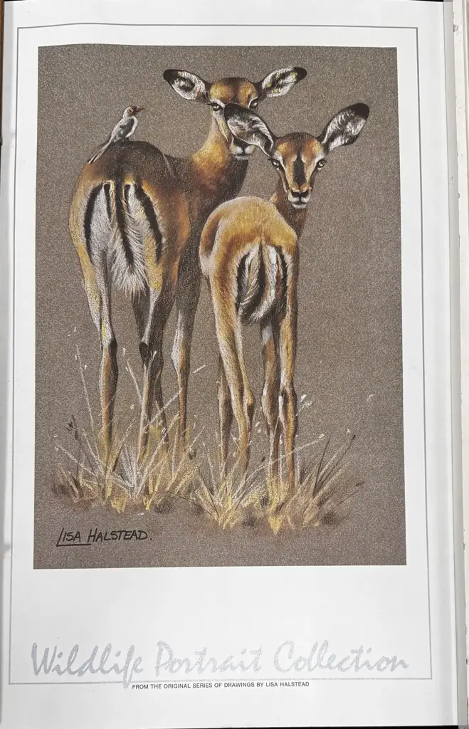 Lisa Halstead Wildlife Portrait Collection Unframed Prints Set Of 10 - View 4
