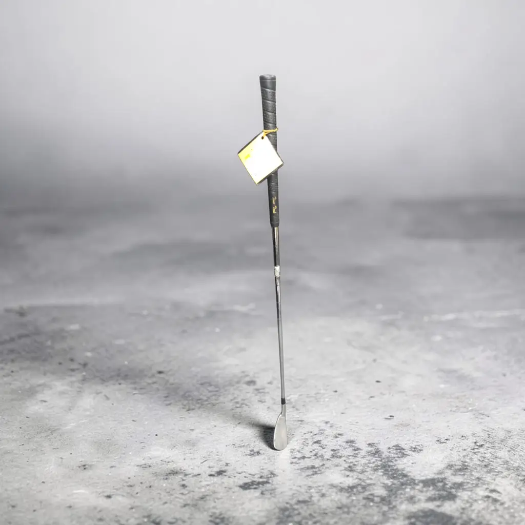 Dynalite Golf Club Iron