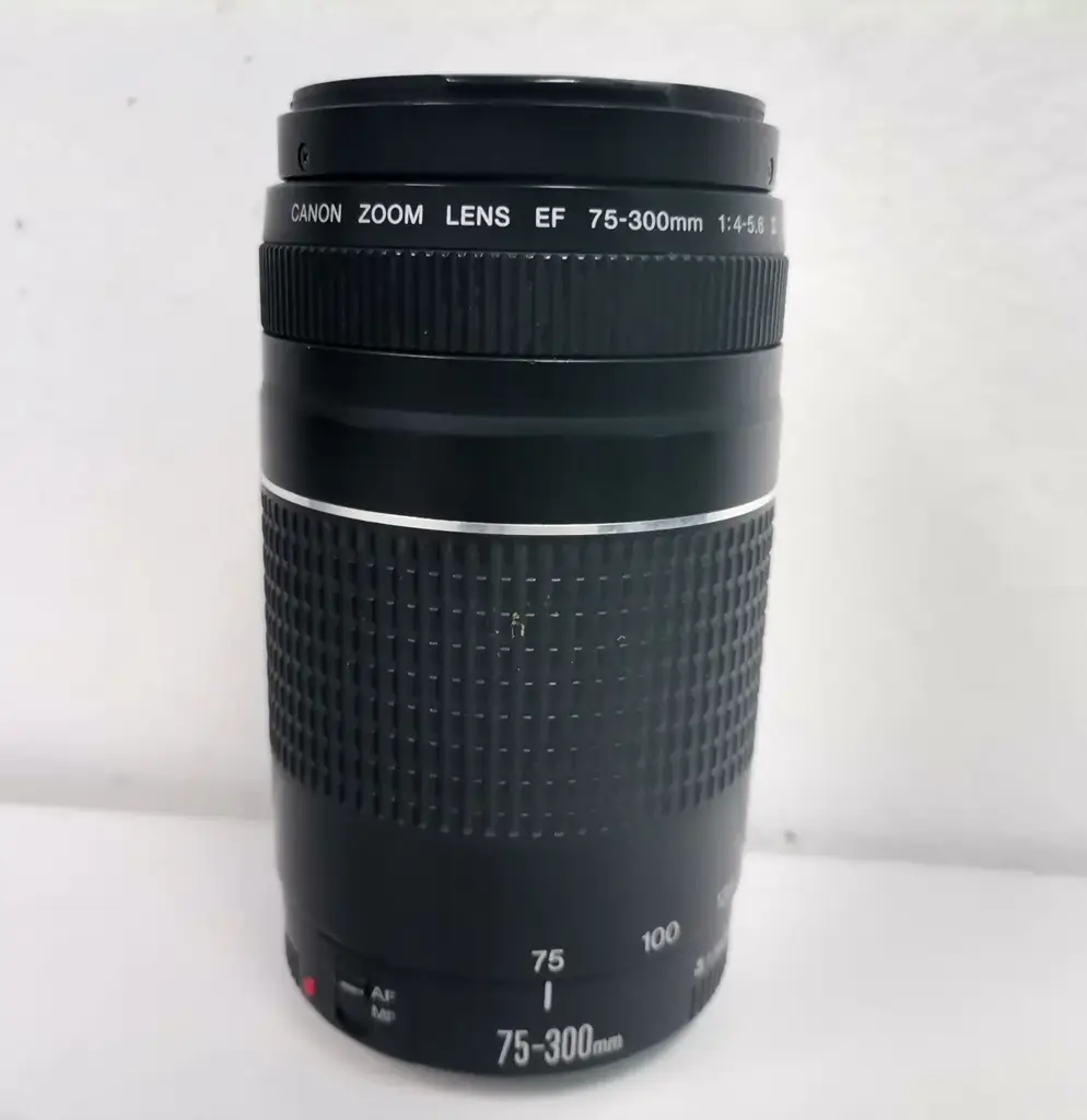 Canon Ef 75-300Mm F/4-5.6 Iii Telephoto Zoom Lens