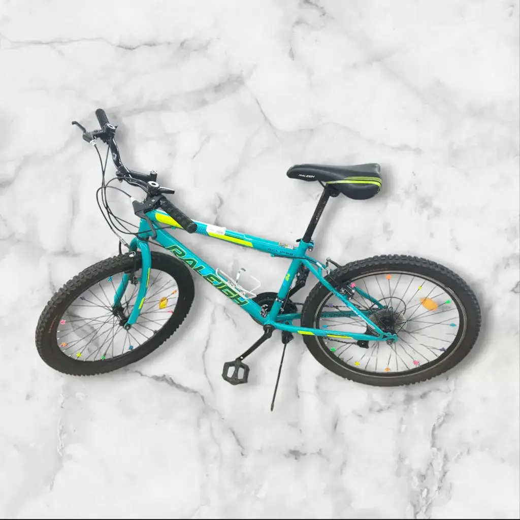 Raleigh R24