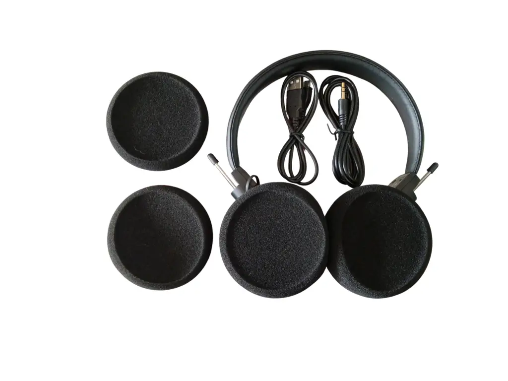 Grado Labs Gw100 (1St Generation) Wireless Headset - View 2