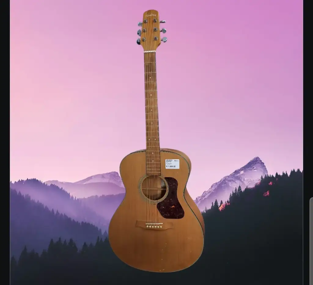 Walden G570 Acoustic Guitar
