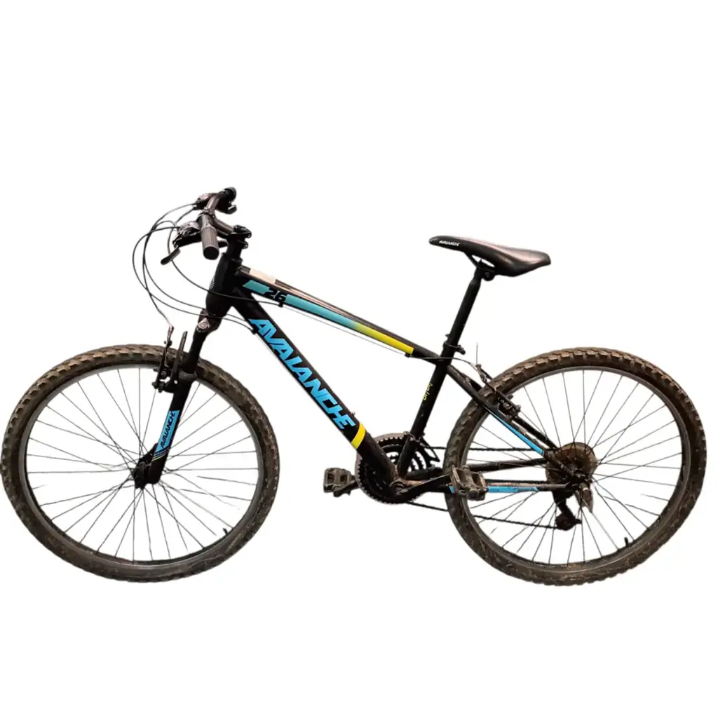 Avalanche 26" Mountain Bike (In-Store Collection)