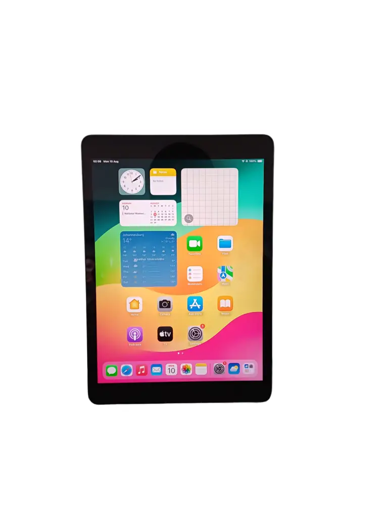 Apple Ipad ( 9Th Generation)