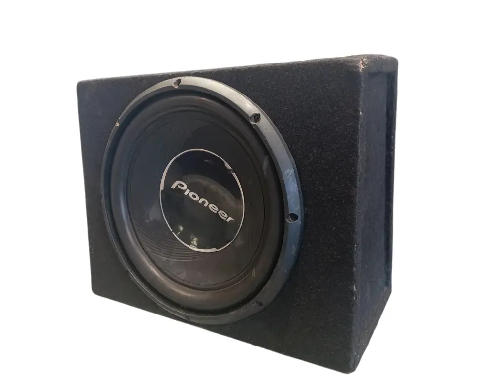 Pioneer Sub