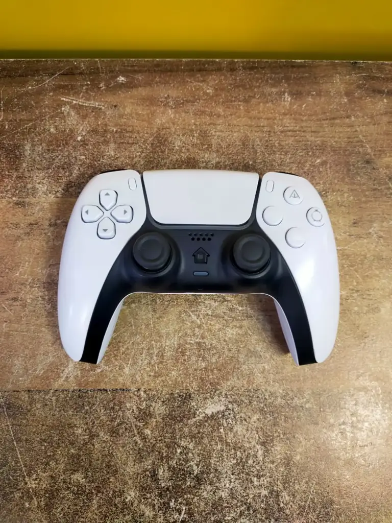 Ps5 Generic Controller