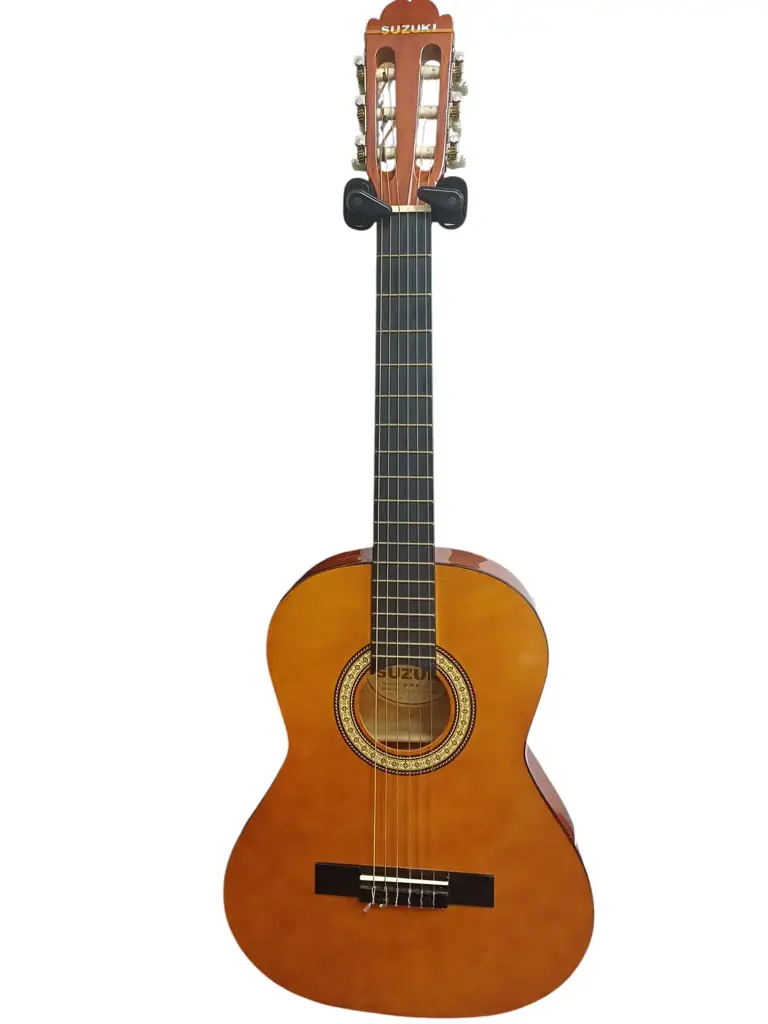 Szuki Sg-3Bnl Acoustic Guitar - View 2