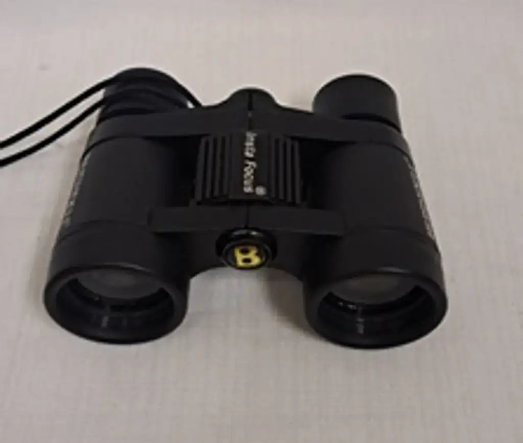 Bushnell Insta Faocus 4X30 Binocular